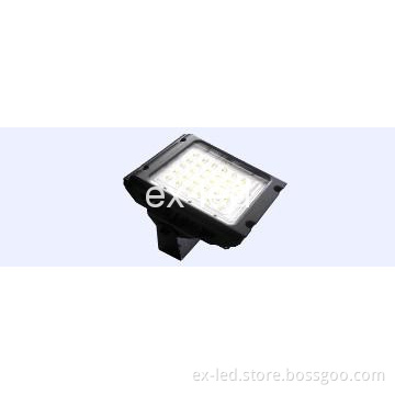 Excellent 30w led tunnel light Projector Lamp, Floodlight IP66